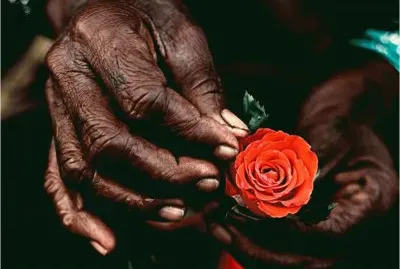 The Rose