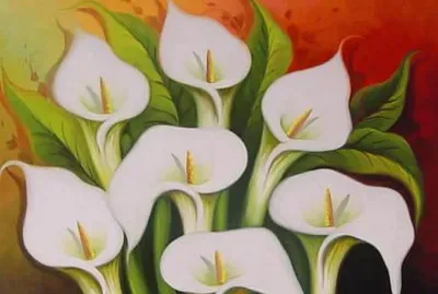 Tulipanes blancos