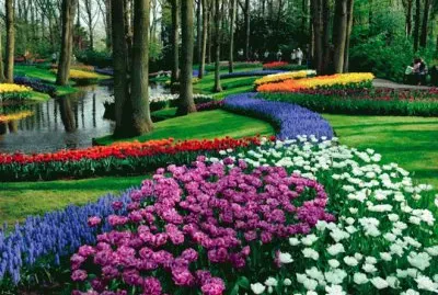 פאזל של JARDIM