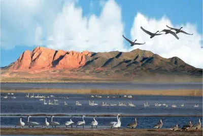 Paisagem da Mongolia jigsaw puzzle