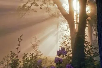 paisagem