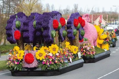 Flower parade Bollenstreek the Netherlands