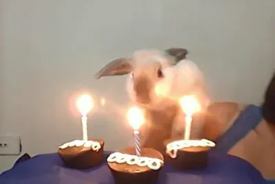 Mafius en su cumpleaÃ±os NÂº 3 jigsaw puzzle