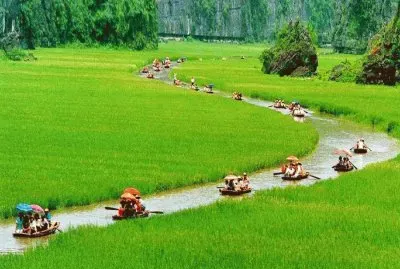 Between the ricefields  Vietnam