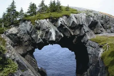 The Berry Head Bow   Canada