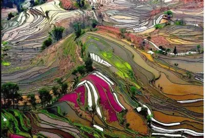 land vitrail