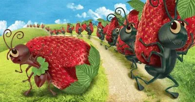 Formigas e Morangos jigsaw puzzle