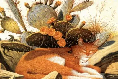 Gatos