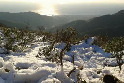 פאזל של Monte Carmo