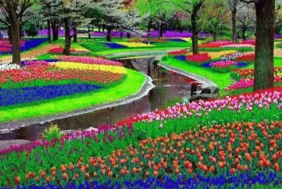 PARQUE KEUKENHOF, HOLANDA.