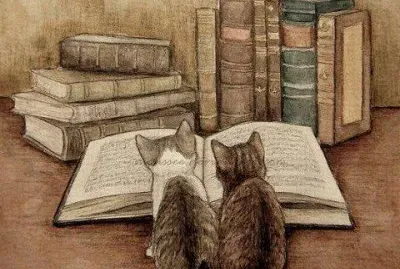 Gatos jigsaw puzzle