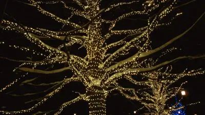 פאזל של Lights