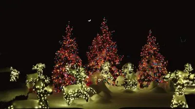 פאזל של lights and trees