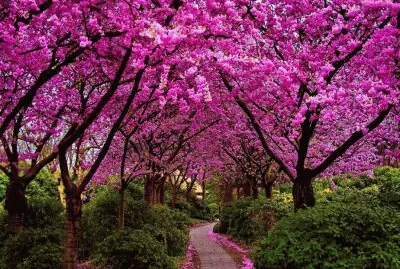 Caminho da Reflexão