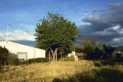 CASA