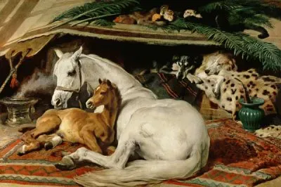 Painting from Sir Edwin Landseer  Arabic Horses