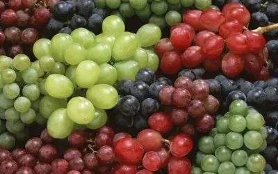 Grapes