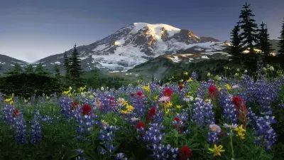 Beautiful landscape