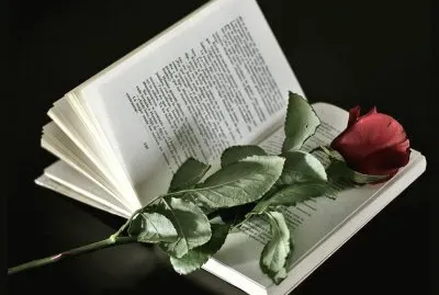 פאזל של amore