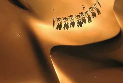 lugares