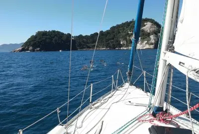 Angra dos Reis jigsaw puzzle