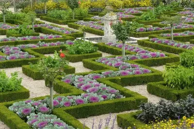 Jardines del chateau Villandry, Francia 1