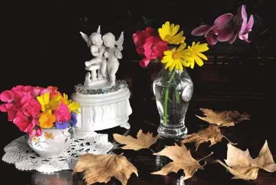 6v667v