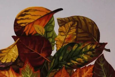  "Para LÃ¡ da SolidÃ£o "