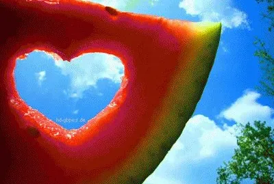 Melone jigsaw puzzle