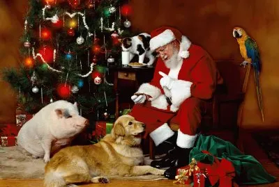 Pare NoÃ«l