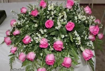 ROSAS