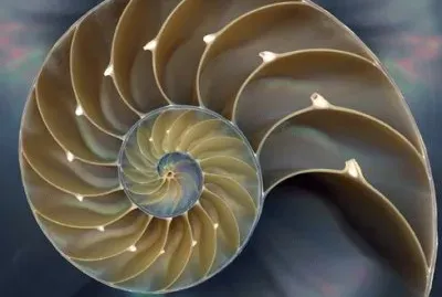 FaraÃ³n jigsaw puzzle