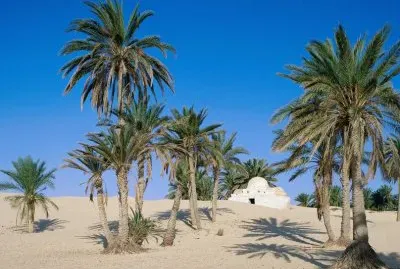 Sahara desert  Tunesia