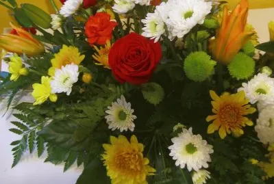 Flors
