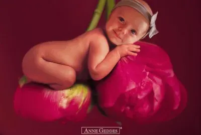 boccioli jigsaw puzzle