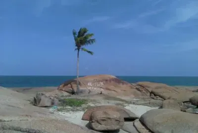 Ilha do coqueiro solitÃ¡rio - PE