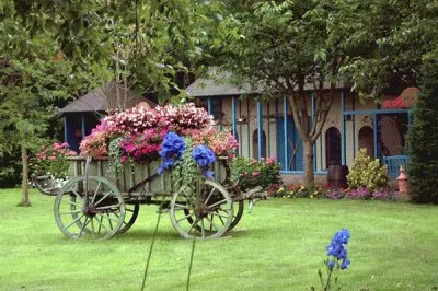 Grassfield with cart