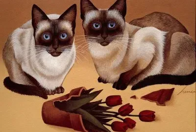 Gatos