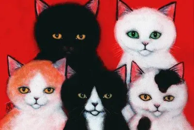 Gatos