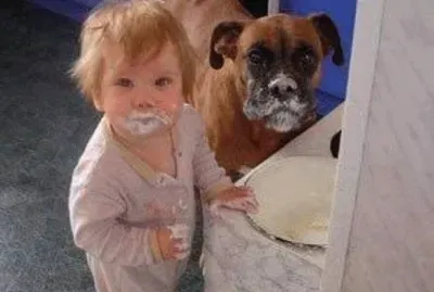 baby   dog jigsaw puzzle