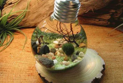 CREATIVIDAD