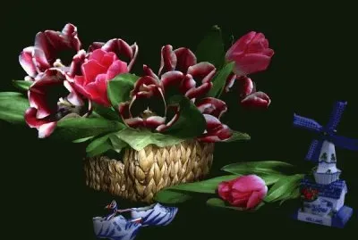 פאזל של Tulips from Holland