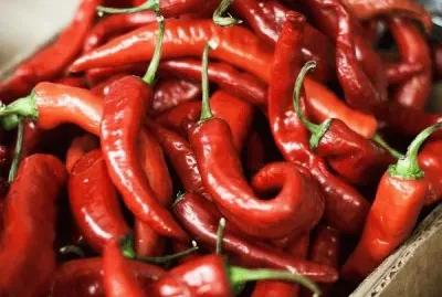 Red Peppers