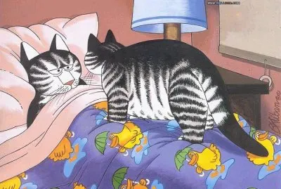 Gatos jigsaw puzzle