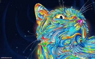 Colorful Cat