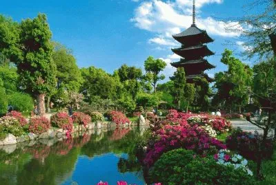 Toji Temple  Kyoto  Japan