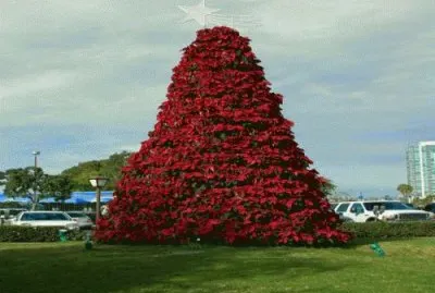  :  .firstcoastnews.com/news/default.aspx