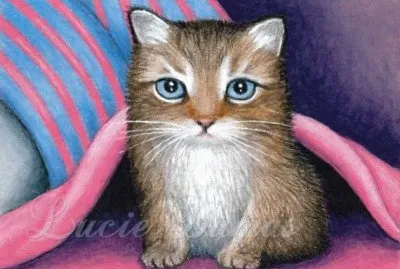 Gatos jigsaw puzzle