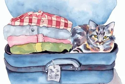 Gatos jigsaw puzzle