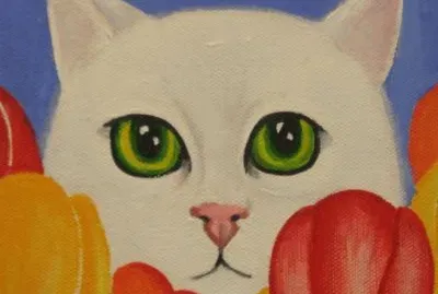 Gatos